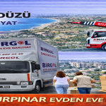 Gürpınar Evden Eve Nakliyat