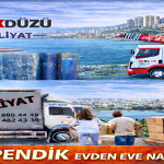 Pendik Evden Eve Nakliyat